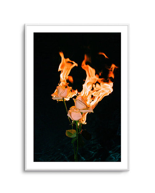 Wild Fire by Mario Stefanelli Art Print-PRINT-Olive et Oriel-Mario Stefanelli-Buy-Australian-Art-Prints-Online-with-Olive-et-Oriel-Your-Artwork-Specialists-Austrailia-Decorate-With-Coastal-Photo-Wall-Art-Prints-From-Our-Beach-House-Artwork-Collection-Fine-Poster-and-Framed-Artwork