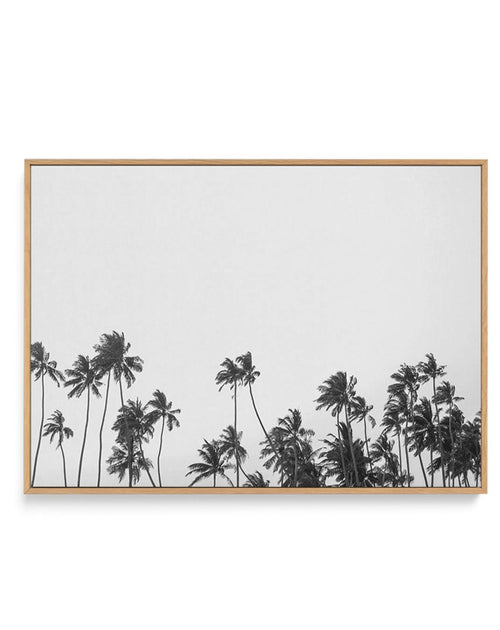 Wild Palm Trees | Framed Canvas-CANVAS-You can shop wall art online with Olive et Oriel for everything from abstract art to fun kids wall art. Our beautiful modern art prints and canvas art are available from large canvas prints to wall art paintings and our proudly Australian artwork collection offers only the highest quality framed large wall art and canvas art Australia - You can buy fashion photography prints or Hampton print posters and paintings on canvas from Olive et Oriel and have them 