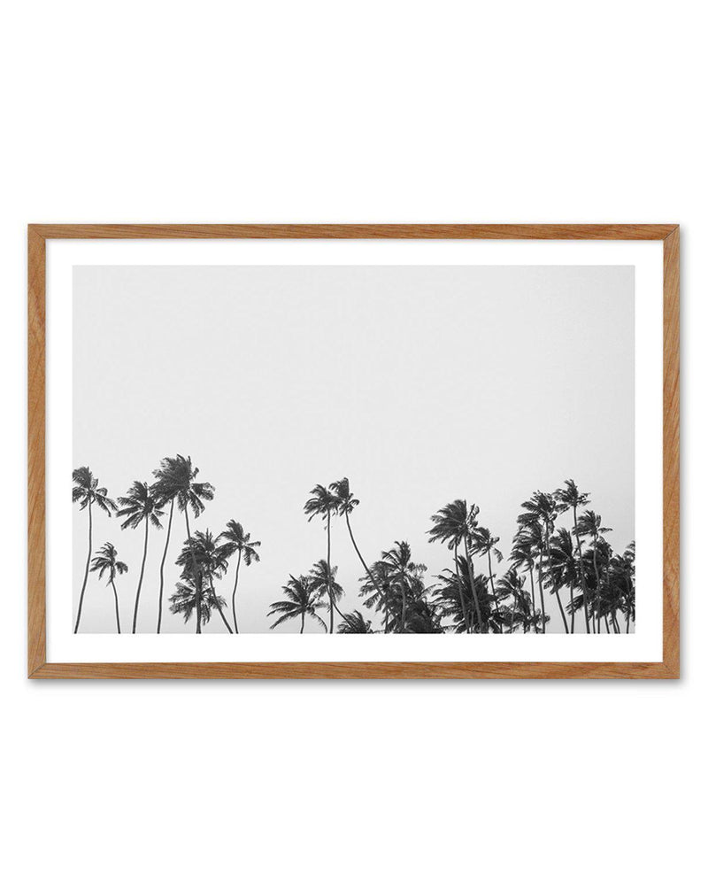 Wild Palm Trees Art Print-PRINT-Olive et Oriel-Olive et Oriel-Buy-Australian-Art-Prints-Online-with-Olive-et-Oriel-Your-Artwork-Specialists-Austrailia-Decorate-With-Coastal-Photo-Wall-Art-Prints-From-Our-Beach-House-Artwork-Collection-Fine-Poster-and-Framed-Artwork