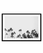 Wild Palm Trees Art Print-PRINT-Olive et Oriel-Olive et Oriel-A5 | 5.8" x 8.3" | 14.8 x 21cm-Black-With White Border-Buy-Australian-Art-Prints-Online-with-Olive-et-Oriel-Your-Artwork-Specialists-Austrailia-Decorate-With-Coastal-Photo-Wall-Art-Prints-From-Our-Beach-House-Artwork-Collection-Fine-Poster-and-Framed-Artwork