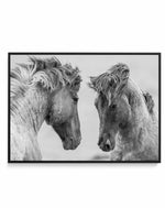 Wild Horses | LS | Framed Canvas-CANVAS-You can shop wall art online with Olive et Oriel for everything from abstract art to fun kids wall art. Our beautiful modern art prints and canvas art are available from large canvas prints to wall art paintings and our proudly Australian artwork collection offers only the highest quality framed large wall art and canvas art Australia - You can buy fashion photography prints or Hampton print posters and paintings on canvas from Olive et Oriel and have them