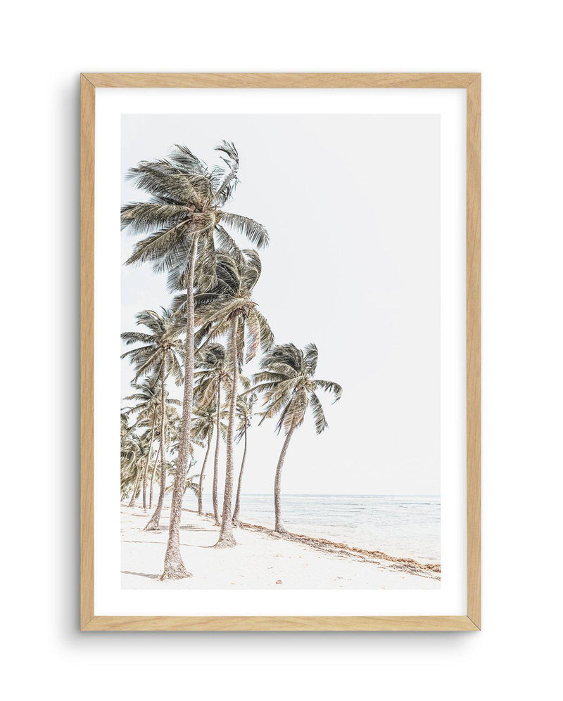 Windy Palms Art Print-PRINT-Olive et Oriel-Olive et Oriel-A5 | 5.8" x 8.3" | 14.8 x 21cm-Oak-With White Border-Buy-Australian-Art-Prints-Online-with-Olive-et-Oriel-Your-Artwork-Specialists-Austrailia-Decorate-With-Coastal-Photo-Wall-Art-Prints-From-Our-Beach-House-Artwork-Collection-Fine-Poster-and-Framed-Artwork