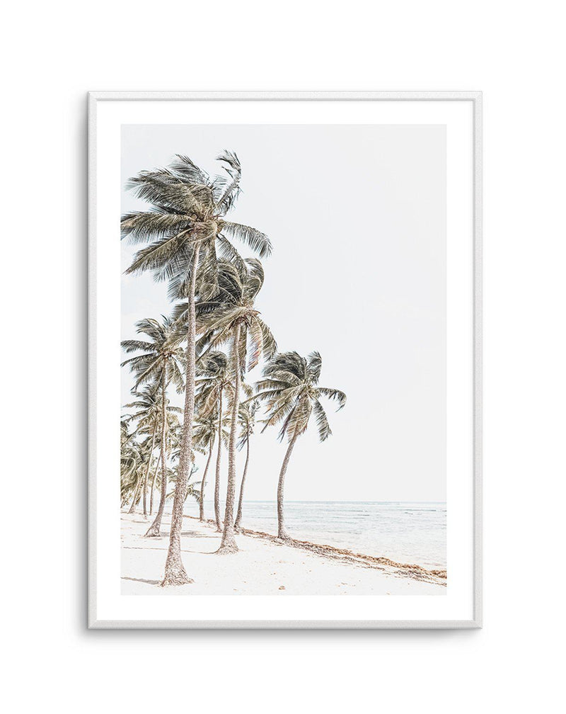 Windy Palms Art Print-PRINT-Olive et Oriel-Olive et Oriel-A5 | 5.8" x 8.3" | 14.8 x 21cm-Unframed Art Print-With White Border-Buy-Australian-Art-Prints-Online-with-Olive-et-Oriel-Your-Artwork-Specialists-Austrailia-Decorate-With-Coastal-Photo-Wall-Art-Prints-From-Our-Beach-House-Artwork-Collection-Fine-Poster-and-Framed-Artwork