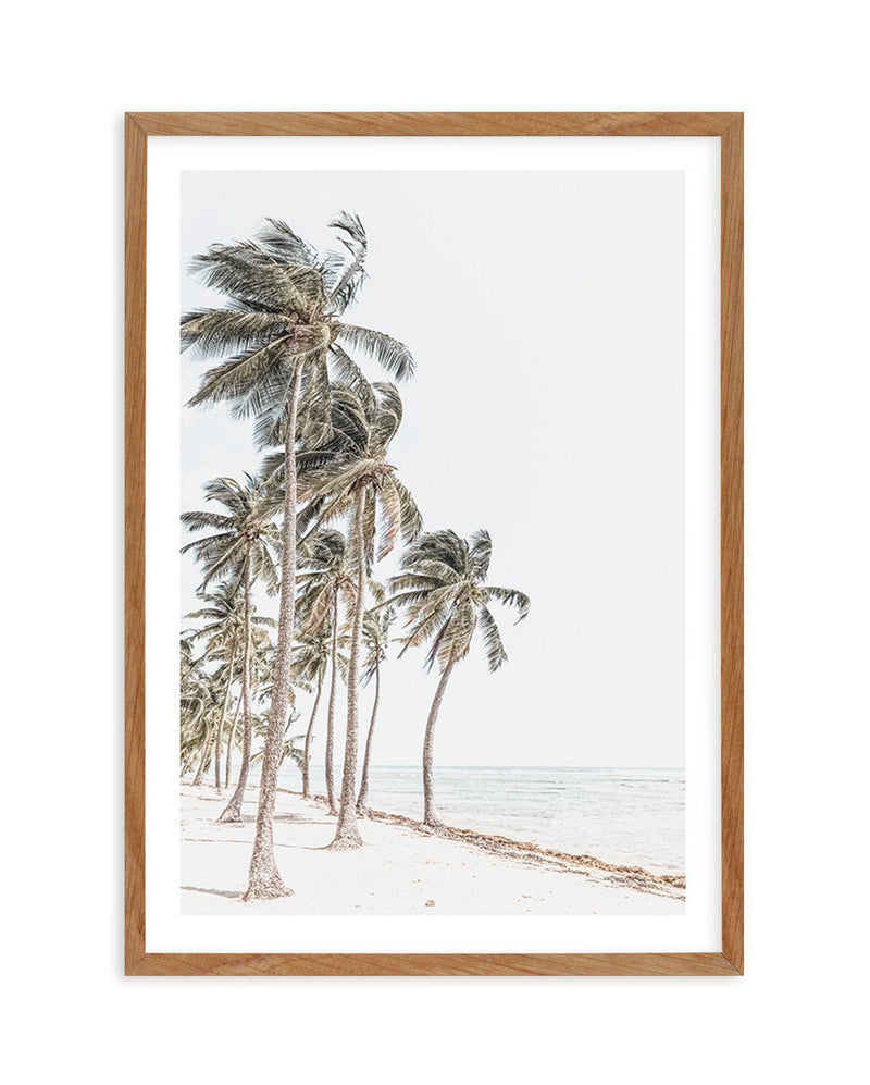 Windy Palms Art Print-PRINT-Olive et Oriel-Olive et Oriel-50x70 cm | 19.6" x 27.5"-Walnut-With White Border-Buy-Australian-Art-Prints-Online-with-Olive-et-Oriel-Your-Artwork-Specialists-Austrailia-Decorate-With-Coastal-Photo-Wall-Art-Prints-From-Our-Beach-House-Artwork-Collection-Fine-Poster-and-Framed-Artwork