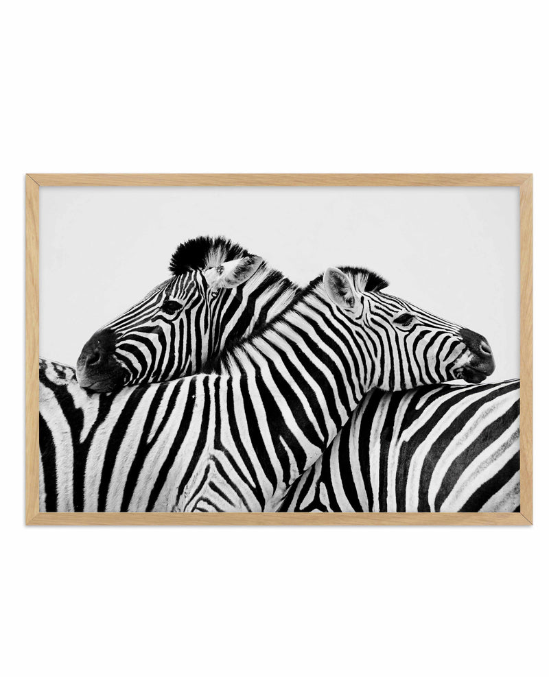 Zebras Embrace | LS Art Print-PRINT-Olive et Oriel-Olive et Oriel-A5 | 5.8" x 8.3" | 14.8 x 21cm-Oak-With White Border-Buy-Australian-Art-Prints-Online-with-Olive-et-Oriel-Your-Artwork-Specialists-Austrailia-Decorate-With-Coastal-Photo-Wall-Art-Prints-From-Our-Beach-House-Artwork-Collection-Fine-Poster-and-Framed-Artwork