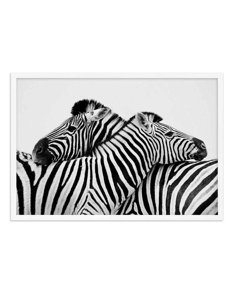 Zebras Embrace | LS Art Print-PRINT-Olive et Oriel-Olive et Oriel-A5 | 5.8" x 8.3" | 14.8 x 21cm-White-With White Border-Buy-Australian-Art-Prints-Online-with-Olive-et-Oriel-Your-Artwork-Specialists-Austrailia-Decorate-With-Coastal-Photo-Wall-Art-Prints-From-Our-Beach-House-Artwork-Collection-Fine-Poster-and-Framed-Artwork
