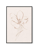 Abstract Botanical | Lily | Framed Canvas-CANVAS-You can shop wall art online with Olive et Oriel for everything from abstract art to fun kids wall art. Our beautiful modern art prints and canvas art are available from large canvas prints to wall art paintings and our proudly Australian artwork collection offers only the highest quality framed large wall art and canvas art Australia - You can buy fashion photography prints or Hampton print posters and paintings on canvas from Olive et Oriel and 