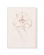 Abstract Botanical | Orchid | Framed Canvas-CANVAS-You can shop wall art online with Olive et Oriel for everything from abstract art to fun kids wall art. Our beautiful modern art prints and canvas art are available from large canvas prints to wall art paintings and our proudly Australian artwork collection offers only the highest quality framed large wall art and canvas art Australia - You can buy fashion photography prints or Hampton print posters and paintings on canvas from Olive et Oriel an