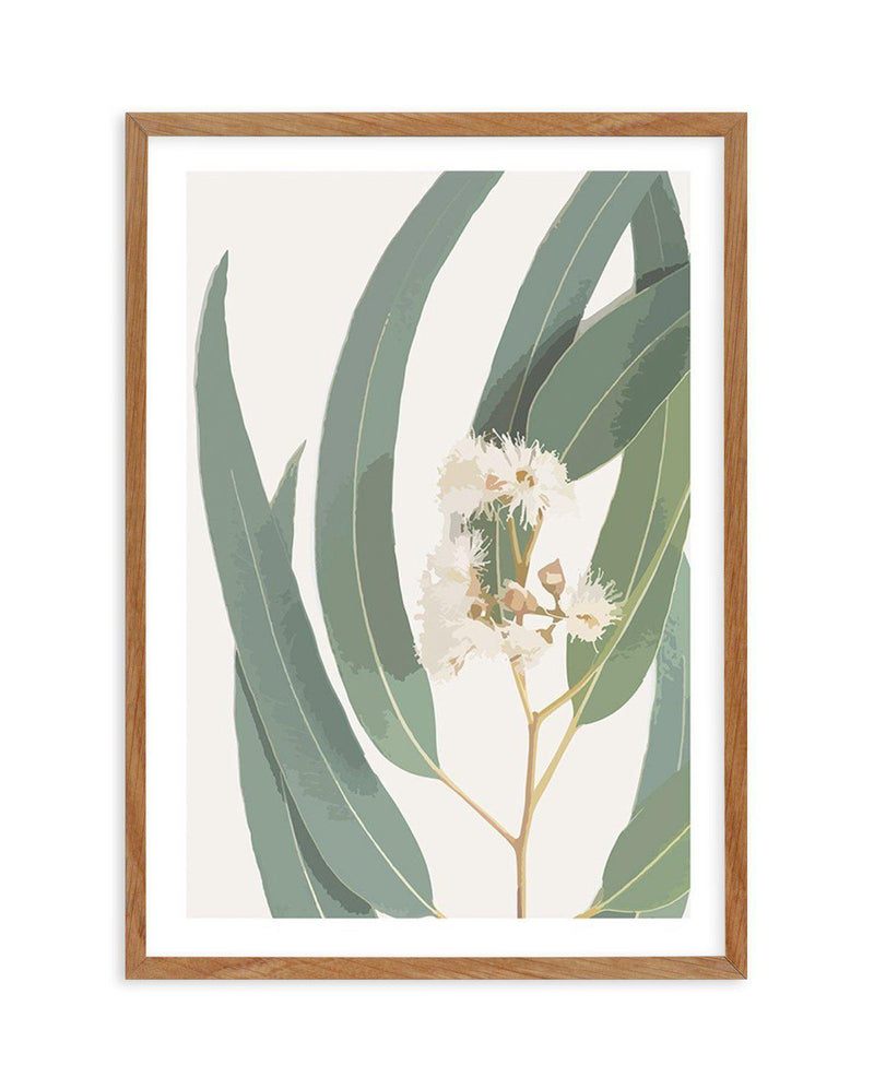 Abstract Eucalyptus I Art Print-PRINT-Olive et Oriel-Olive et Oriel-50x70 cm | 19.6" x 27.5"-Walnut-With White Border-Buy-Australian-Art-Prints-Online-with-Olive-et-Oriel-Your-Artwork-Specialists-Austrailia-Decorate-With-Coastal-Photo-Wall-Art-Prints-From-Our-Beach-House-Artwork-Collection-Fine-Poster-and-Framed-Artwork