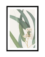 Abstract Eucalyptus II Art Print-PRINT-Olive et Oriel-Olive et Oriel-A5 | 5.8" x 8.3" | 14.8 x 21cm-Black-With White Border-Buy-Australian-Art-Prints-Online-with-Olive-et-Oriel-Your-Artwork-Specialists-Austrailia-Decorate-With-Coastal-Photo-Wall-Art-Prints-From-Our-Beach-House-Artwork-Collection-Fine-Poster-and-Framed-Artwork