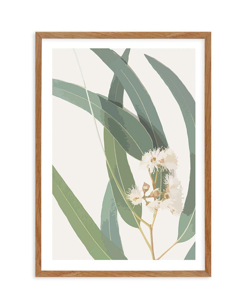 Abstract Eucalyptus II Art Print-PRINT-Olive et Oriel-Olive et Oriel-50x70 cm | 19.6" x 27.5"-Walnut-With White Border-Buy-Australian-Art-Prints-Online-with-Olive-et-Oriel-Your-Artwork-Specialists-Austrailia-Decorate-With-Coastal-Photo-Wall-Art-Prints-From-Our-Beach-House-Artwork-Collection-Fine-Poster-and-Framed-Artwork