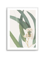 Abstract Eucalyptus II Art Print-PRINT-Olive et Oriel-Olive et Oriel-A5 | 5.8" x 8.3" | 14.8 x 21cm-Unframed Art Print-With White Border-Buy-Australian-Art-Prints-Online-with-Olive-et-Oriel-Your-Artwork-Specialists-Austrailia-Decorate-With-Coastal-Photo-Wall-Art-Prints-From-Our-Beach-House-Artwork-Collection-Fine-Poster-and-Framed-Artwork