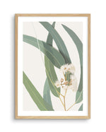 Abstract Eucalyptus II Art Print-PRINT-Olive et Oriel-Olive et Oriel-A5 | 5.8" x 8.3" | 14.8 x 21cm-Oak-With White Border-Buy-Australian-Art-Prints-Online-with-Olive-et-Oriel-Your-Artwork-Specialists-Austrailia-Decorate-With-Coastal-Photo-Wall-Art-Prints-From-Our-Beach-House-Artwork-Collection-Fine-Poster-and-Framed-Artwork