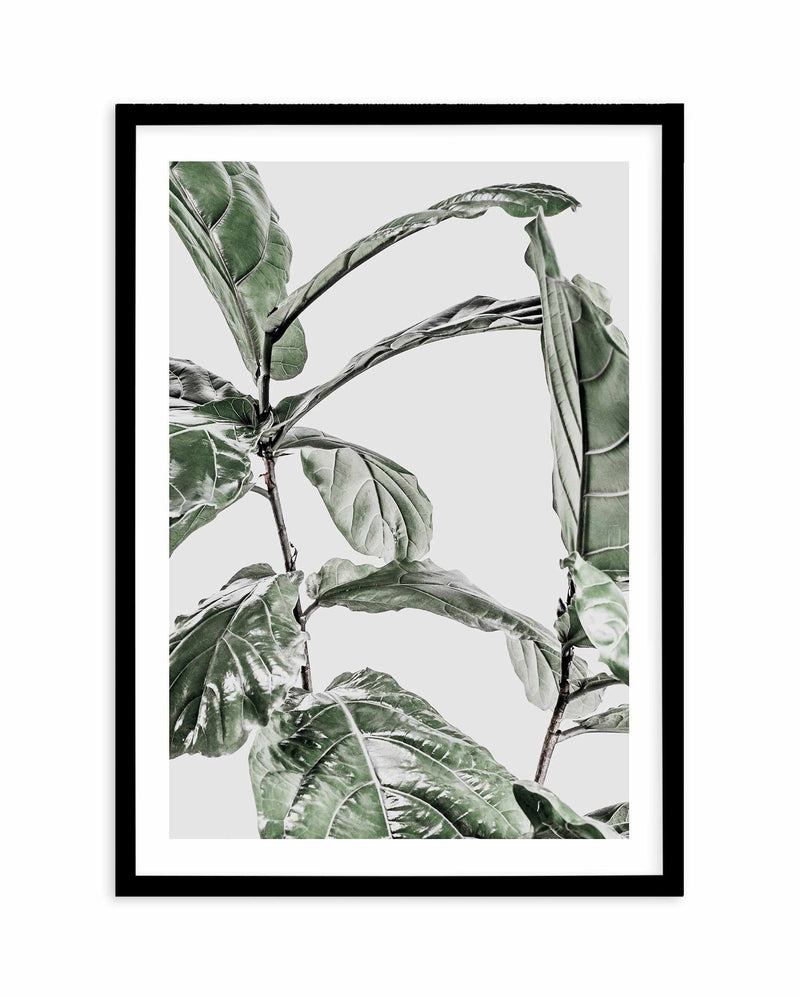 Abstract Fig I Art Print-PRINT-Olive et Oriel-Olive et Oriel-A4 | 8.3" x 11.7" | 21 x 29.7cm-Black-With White Border-Buy-Australian-Art-Prints-Online-with-Olive-et-Oriel-Your-Artwork-Specialists-Austrailia-Decorate-With-Coastal-Photo-Wall-Art-Prints-From-Our-Beach-House-Artwork-Collection-Fine-Poster-and-Framed-Artwork