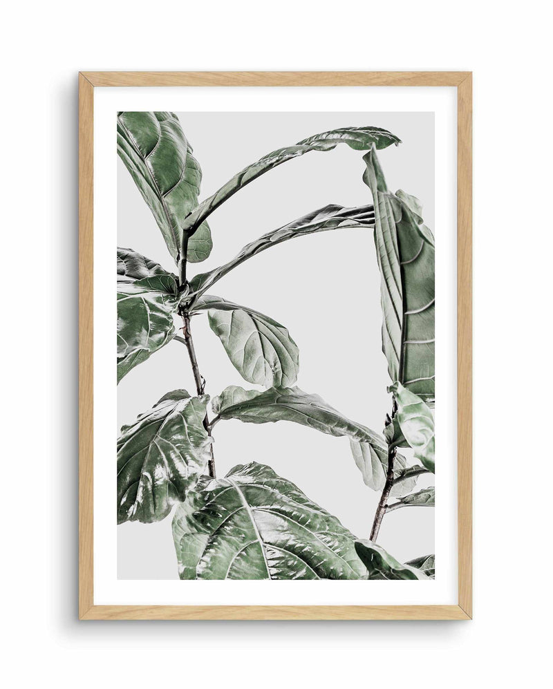 Abstract Fig I Art Print-PRINT-Olive et Oriel-Olive et Oriel-A4 | 8.3" x 11.7" | 21 x 29.7cm-Oak-With White Border-Buy-Australian-Art-Prints-Online-with-Olive-et-Oriel-Your-Artwork-Specialists-Austrailia-Decorate-With-Coastal-Photo-Wall-Art-Prints-From-Our-Beach-House-Artwork-Collection-Fine-Poster-and-Framed-Artwork