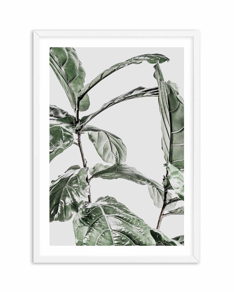 Abstract Fig I Art Print-PRINT-Olive et Oriel-Olive et Oriel-A4 | 8.3" x 11.7" | 21 x 29.7cm-White-With White Border-Buy-Australian-Art-Prints-Online-with-Olive-et-Oriel-Your-Artwork-Specialists-Austrailia-Decorate-With-Coastal-Photo-Wall-Art-Prints-From-Our-Beach-House-Artwork-Collection-Fine-Poster-and-Framed-Artwork