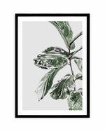 Abstract Fig II Art Print-PRINT-Olive et Oriel-Olive et Oriel-A4 | 8.3" x 11.7" | 21 x 29.7cm-Black-With White Border-Buy-Australian-Art-Prints-Online-with-Olive-et-Oriel-Your-Artwork-Specialists-Austrailia-Decorate-With-Coastal-Photo-Wall-Art-Prints-From-Our-Beach-House-Artwork-Collection-Fine-Poster-and-Framed-Artwork