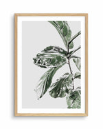 Abstract Fig II Art Print-PRINT-Olive et Oriel-Olive et Oriel-A4 | 8.3" x 11.7" | 21 x 29.7cm-Oak-With White Border-Buy-Australian-Art-Prints-Online-with-Olive-et-Oriel-Your-Artwork-Specialists-Austrailia-Decorate-With-Coastal-Photo-Wall-Art-Prints-From-Our-Beach-House-Artwork-Collection-Fine-Poster-and-Framed-Artwork