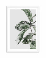 Abstract Fig II Art Print-PRINT-Olive et Oriel-Olive et Oriel-A4 | 8.3" x 11.7" | 21 x 29.7cm-White-With White Border-Buy-Australian-Art-Prints-Online-with-Olive-et-Oriel-Your-Artwork-Specialists-Austrailia-Decorate-With-Coastal-Photo-Wall-Art-Prints-From-Our-Beach-House-Artwork-Collection-Fine-Poster-and-Framed-Artwork