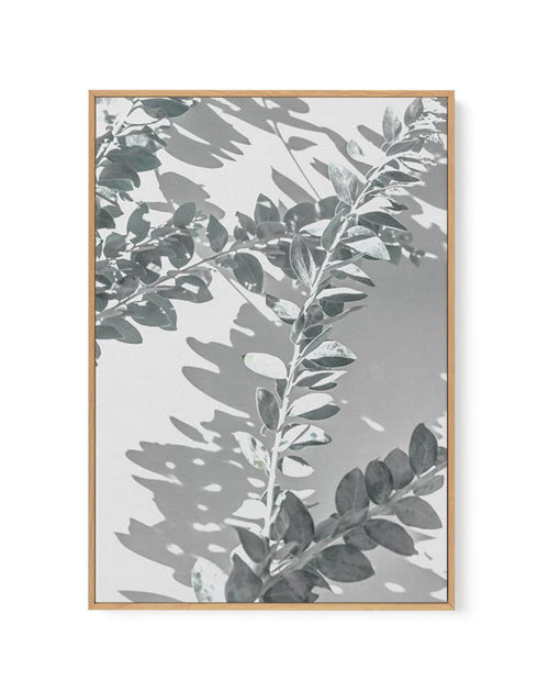 Abstract Leaves I | Framed Canvas-CANVAS-You can shop wall art online with Olive et Oriel for everything from abstract art to fun kids wall art. Our beautiful modern art prints and canvas art are available from large canvas prints to wall art paintings and our proudly Australian artwork collection offers only the highest quality framed large wall art and canvas art Australia - You can buy fashion photography prints or Hampton print posters and paintings on canvas from Olive et Oriel and have the