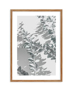 Abstract Leaves II Art Print-PRINT-Olive et Oriel-Olive et Oriel-50x70 cm | 19.6" x 27.5"-Walnut-With White Border-Buy-Australian-Art-Prints-Online-with-Olive-et-Oriel-Your-Artwork-Specialists-Austrailia-Decorate-With-Coastal-Photo-Wall-Art-Prints-From-Our-Beach-House-Artwork-Collection-Fine-Poster-and-Framed-Artwork