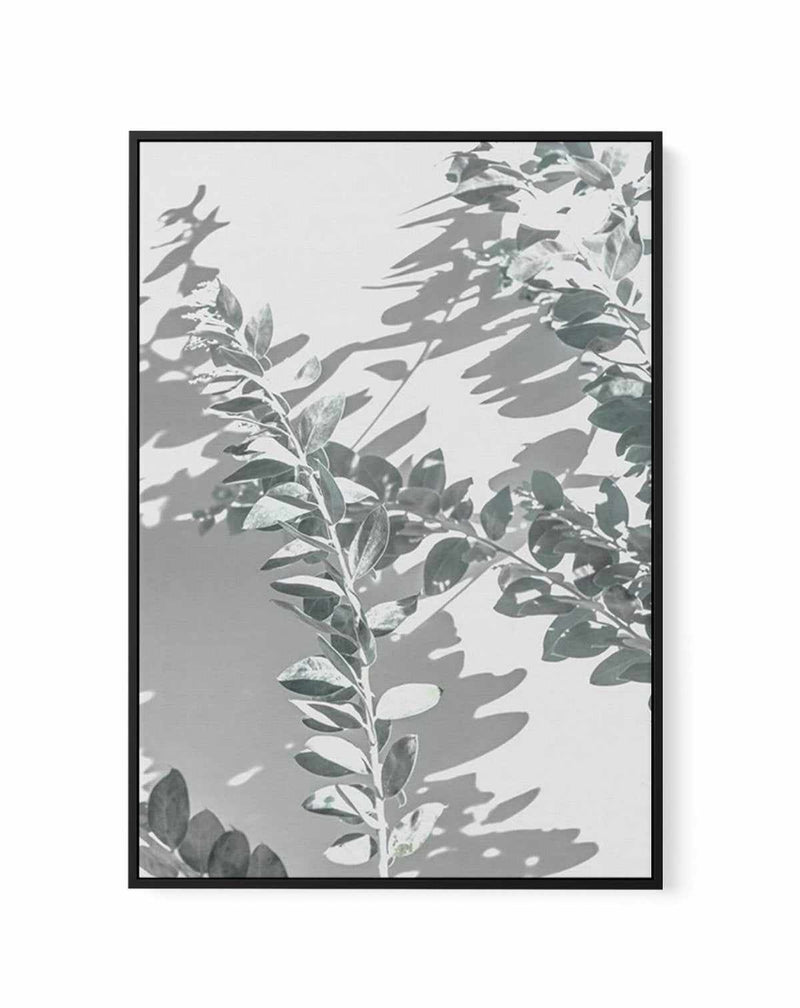 Abstract Leaves II | Framed Canvas-CANVAS-You can shop wall art online with Olive et Oriel for everything from abstract art to fun kids wall art. Our beautiful modern art prints and canvas art are available from large canvas prints to wall art paintings and our proudly Australian artwork collection offers only the highest quality framed large wall art and canvas art Australia - You can buy fashion photography prints or Hampton print posters and paintings on canvas from Olive et Oriel and have th