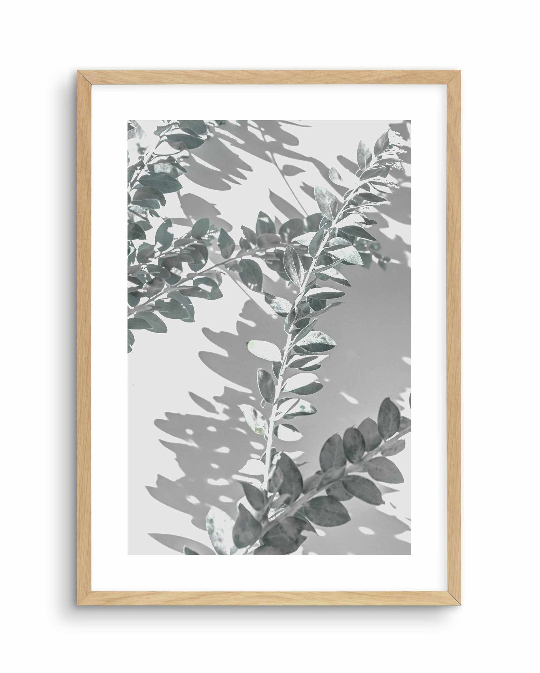 Abstract Leaves I Art Print-PRINT-Olive et Oriel-Olive et Oriel-A4 | 8.3" x 11.7" | 21 x 29.7cm-Oak-With White Border-Buy-Australian-Art-Prints-Online-with-Olive-et-Oriel-Your-Artwork-Specialists-Austrailia-Decorate-With-Coastal-Photo-Wall-Art-Prints-From-Our-Beach-House-Artwork-Collection-Fine-Poster-and-Framed-Artwork