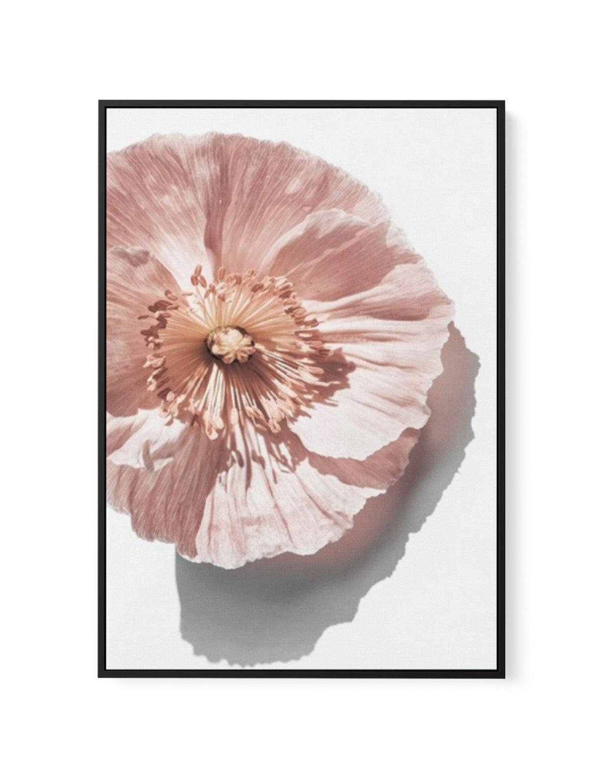 Abstract Poppies III | Framed Canvas-CANVAS-You can shop wall art online with Olive et Oriel for everything from abstract art to fun kids wall art. Our beautiful modern art prints and canvas art are available from large canvas prints to wall art paintings and our proudly Australian artwork collection offers only the highest quality framed large wall art and canvas art Australia - You can buy fashion photography prints or Hampton print posters and paintings on canvas from Olive et Oriel and have 