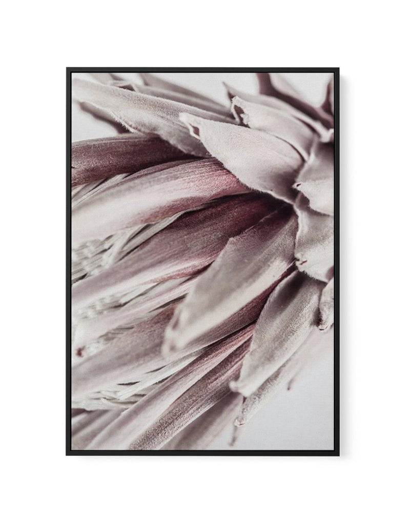 Abstract Protea II | Framed Canvas-CANVAS-You can shop wall art online with Olive et Oriel for everything from abstract art to fun kids wall art. Our beautiful modern art prints and canvas art are available from large canvas prints to wall art paintings and our proudly Australian artwork collection offers only the highest quality framed large wall art and canvas art Australia - You can buy fashion photography prints or Hampton print posters and paintings on canvas from Olive et Oriel and have th