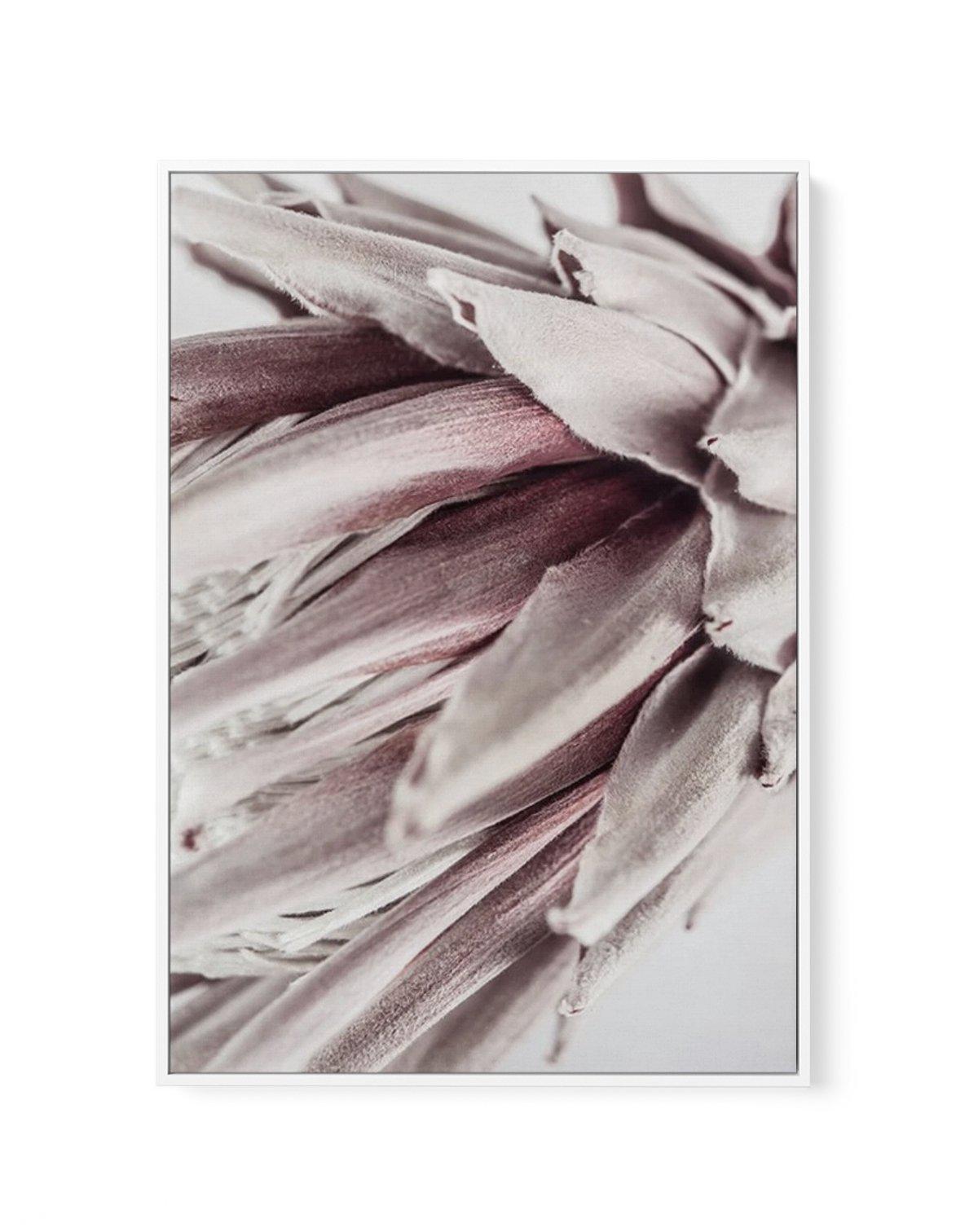 Abstract Protea II | Framed Canvas-CANVAS-You can shop wall art online with Olive et Oriel for everything from abstract art to fun kids wall art. Our beautiful modern art prints and canvas art are available from large canvas prints to wall art paintings and our proudly Australian artwork collection offers only the highest quality framed large wall art and canvas art Australia - You can buy fashion photography prints or Hampton print posters and paintings on canvas from Olive et Oriel and have th