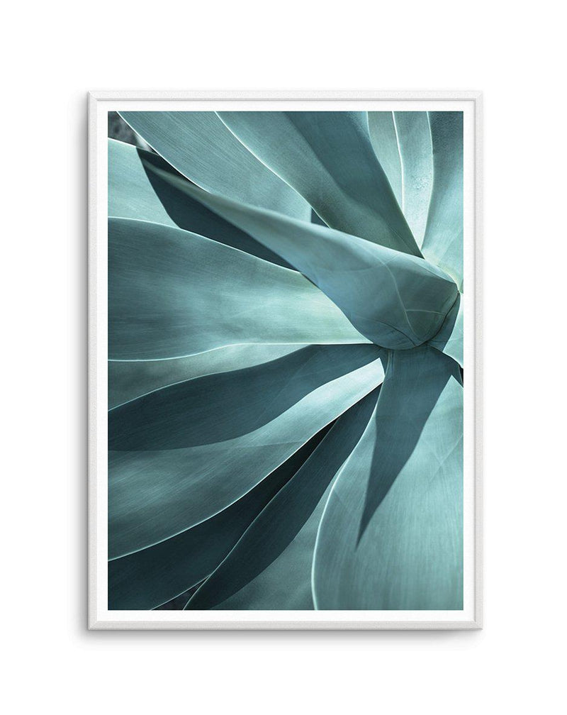 Agave I Art Print-PRINT-Olive et Oriel-Olive et Oriel-A5 | 5.8" x 8.3" | 14.8 x 21cm-Unframed Art Print-With White Border-Buy-Australian-Art-Prints-Online-with-Olive-et-Oriel-Your-Artwork-Specialists-Austrailia-Decorate-With-Coastal-Photo-Wall-Art-Prints-From-Our-Beach-House-Artwork-Collection-Fine-Poster-and-Framed-Artwork