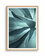 Agave I Art Print-PRINT-Olive et Oriel-Olive et Oriel-A5 | 5.8" x 8.3" | 14.8 x 21cm-Oak-With White Border-Buy-Australian-Art-Prints-Online-with-Olive-et-Oriel-Your-Artwork-Specialists-Austrailia-Decorate-With-Coastal-Photo-Wall-Art-Prints-From-Our-Beach-House-Artwork-Collection-Fine-Poster-and-Framed-Artwork