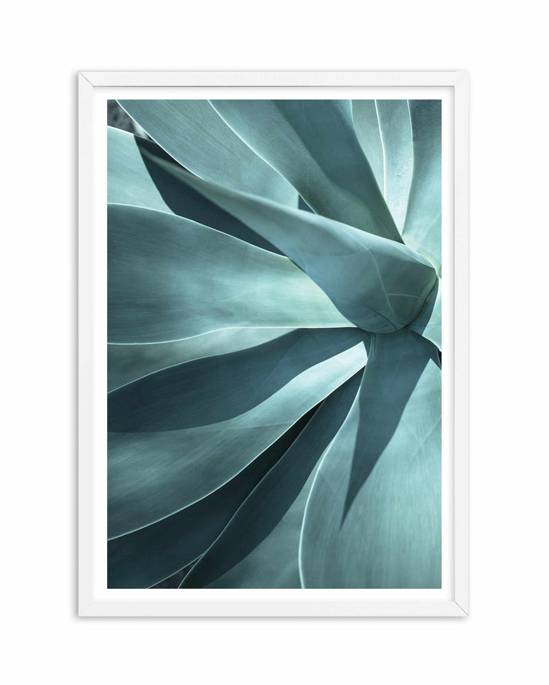 Agave I Art Print-PRINT-Olive et Oriel-Olive et Oriel-A5 | 5.8" x 8.3" | 14.8 x 21cm-White-With White Border-Buy-Australian-Art-Prints-Online-with-Olive-et-Oriel-Your-Artwork-Specialists-Austrailia-Decorate-With-Coastal-Photo-Wall-Art-Prints-From-Our-Beach-House-Artwork-Collection-Fine-Poster-and-Framed-Artwork