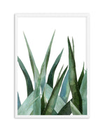Agave in Watercolour Art Print-PRINT-Olive et Oriel-Olive et Oriel-A4 | 8.3" x 11.7" | 21 x 29.7cm-White-With White Border-Buy-Australian-Art-Prints-Online-with-Olive-et-Oriel-Your-Artwork-Specialists-Austrailia-Decorate-With-Coastal-Photo-Wall-Art-Prints-From-Our-Beach-House-Artwork-Collection-Fine-Poster-and-Framed-Artwork