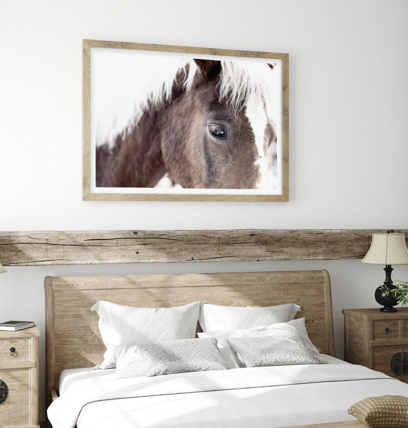 Aiko | Brown Horse Art Print-PRINT-Olive et Oriel-Olive et Oriel-Buy-Australian-Art-Prints-Online-with-Olive-et-Oriel-Your-Artwork-Specialists-Austrailia-Decorate-With-Coastal-Photo-Wall-Art-Prints-From-Our-Beach-House-Artwork-Collection-Fine-Poster-and-Framed-Artwork