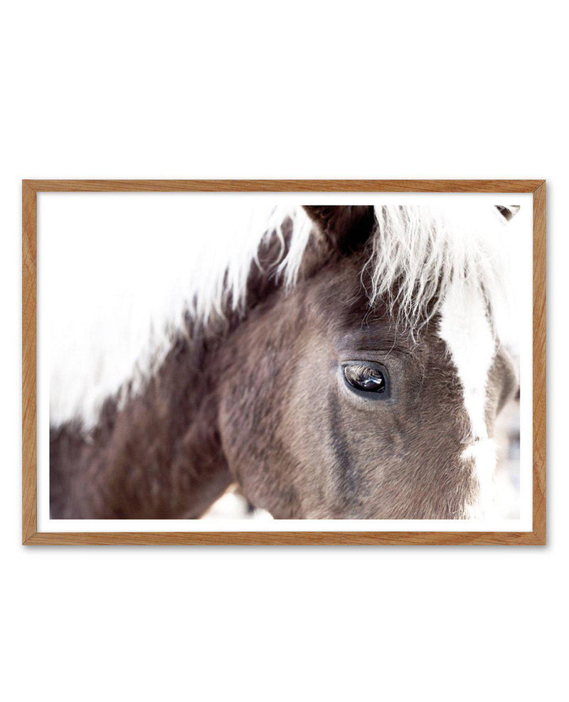 Aiko | Brown Horse Art Print-PRINT-Olive et Oriel-Olive et Oriel-50x70 cm | 19.6" x 27.5"-Walnut-With White Border-Buy-Australian-Art-Prints-Online-with-Olive-et-Oriel-Your-Artwork-Specialists-Austrailia-Decorate-With-Coastal-Photo-Wall-Art-Prints-From-Our-Beach-House-Artwork-Collection-Fine-Poster-and-Framed-Artwork