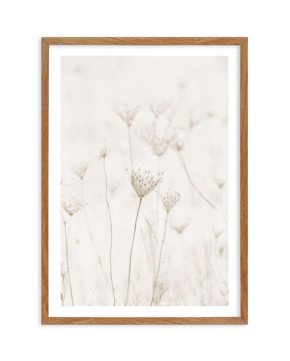 Among The Dandelions Art Print-PRINT-Olive et Oriel-Olive et Oriel-50x70 cm | 19.6" x 27.5"-Walnut-With White Border-Buy-Australian-Art-Prints-Online-with-Olive-et-Oriel-Your-Artwork-Specialists-Austrailia-Decorate-With-Coastal-Photo-Wall-Art-Prints-From-Our-Beach-House-Artwork-Collection-Fine-Poster-and-Framed-Artwork