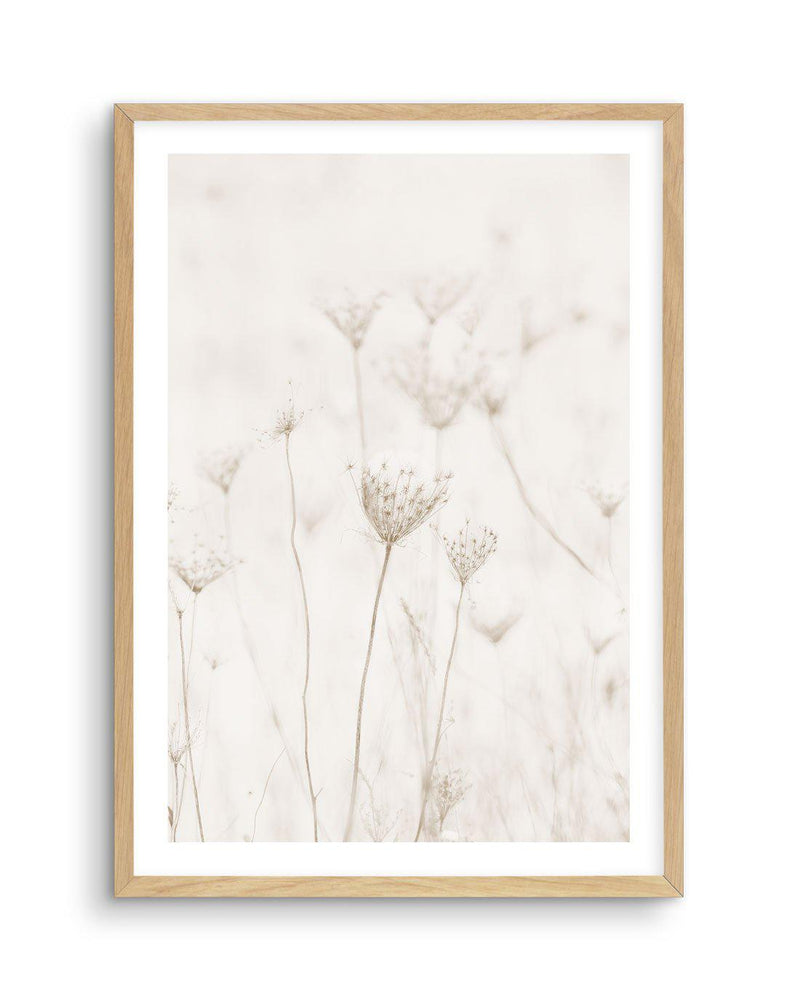 Among The Dandelions Art Print-PRINT-Olive et Oriel-Olive et Oriel-A5 | 5.8" x 8.3" | 14.8 x 21cm-Oak-With White Border-Buy-Australian-Art-Prints-Online-with-Olive-et-Oriel-Your-Artwork-Specialists-Austrailia-Decorate-With-Coastal-Photo-Wall-Art-Prints-From-Our-Beach-House-Artwork-Collection-Fine-Poster-and-Framed-Artwork