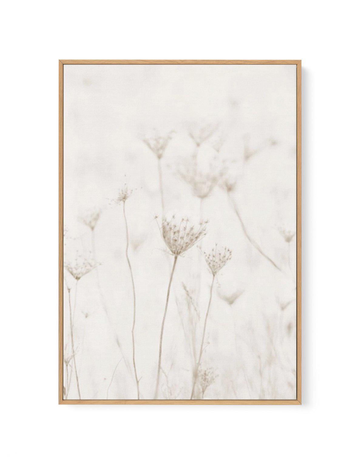 Among The Dandelions | Framed Canvas-CANVAS-You can shop wall art online with Olive et Oriel for everything from abstract art to fun kids wall art. Our beautiful modern art prints and canvas art are available from large canvas prints to wall art paintings and our proudly Australian artwork collection offers only the highest quality framed large wall art and canvas art Australia - You can buy fashion photography prints or Hampton print posters and paintings on canvas from Olive et Oriel and have 