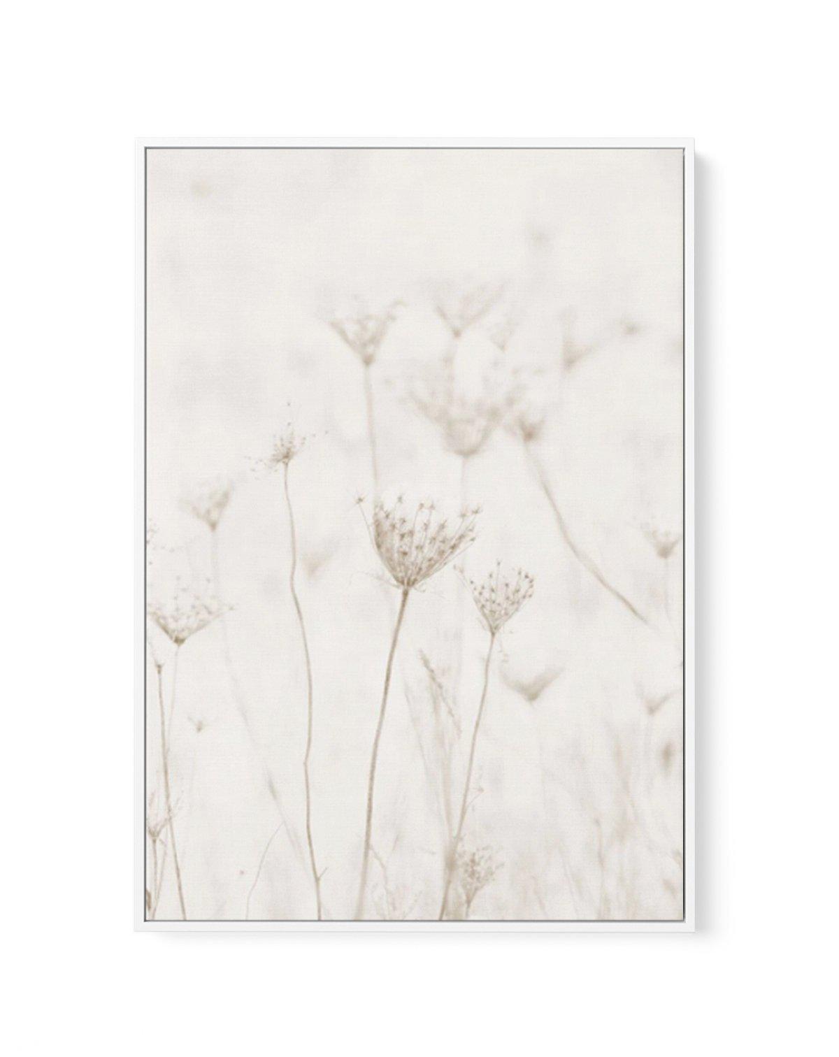 Among The Dandelions | Framed Canvas-CANVAS-You can shop wall art online with Olive et Oriel for everything from abstract art to fun kids wall art. Our beautiful modern art prints and canvas art are available from large canvas prints to wall art paintings and our proudly Australian artwork collection offers only the highest quality framed large wall art and canvas art Australia - You can buy fashion photography prints or Hampton print posters and paintings on canvas from Olive et Oriel and have 