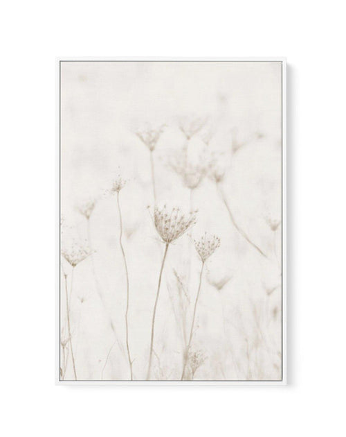 Among The Dandelions | Framed Canvas-CANVAS-You can shop wall art online with Olive et Oriel for everything from abstract art to fun kids wall art. Our beautiful modern art prints and canvas art are available from large canvas prints to wall art paintings and our proudly Australian artwork collection offers only the highest quality framed large wall art and canvas art Australia - You can buy fashion photography prints or Hampton print posters and paintings on canvas from Olive et Oriel and have 