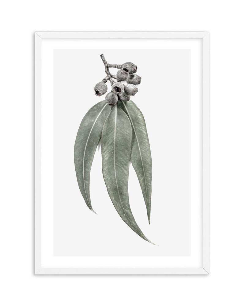 Among the Gumtrees Art Print-PRINT-Olive et Oriel-Olive et Oriel-A5 | 5.8" x 8.3" | 14.8 x 21cm-White-With White Border-Buy-Australian-Art-Prints-Online-with-Olive-et-Oriel-Your-Artwork-Specialists-Austrailia-Decorate-With-Coastal-Photo-Wall-Art-Prints-From-Our-Beach-House-Artwork-Collection-Fine-Poster-and-Framed-Artwork