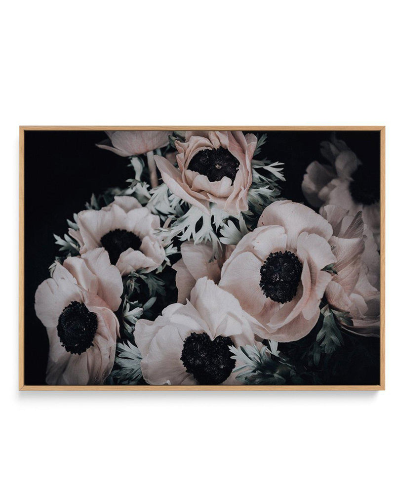 Anemone I | Framed Canvas-CANVAS-You can shop wall art online with Olive et Oriel for everything from abstract art to fun kids wall art. Our beautiful modern art prints and canvas art are available from large canvas prints to wall art paintings and our proudly Australian artwork collection offers only the highest quality framed large wall art and canvas art Australia - You can buy fashion photography prints or Hampton print posters and paintings on canvas from Olive et Oriel and have them delive