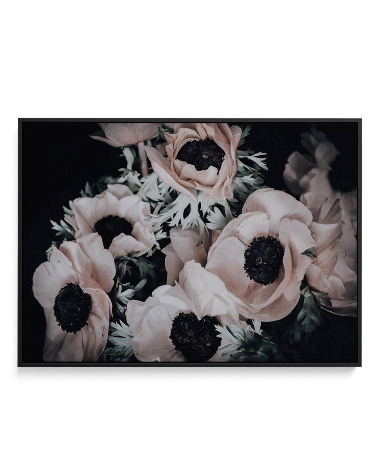 Anemone I | Framed Canvas-CANVAS-You can shop wall art online with Olive et Oriel for everything from abstract art to fun kids wall art. Our beautiful modern art prints and canvas art are available from large canvas prints to wall art paintings and our proudly Australian artwork collection offers only the highest quality framed large wall art and canvas art Australia - You can buy fashion photography prints or Hampton print posters and paintings on canvas from Olive et Oriel and have them delive