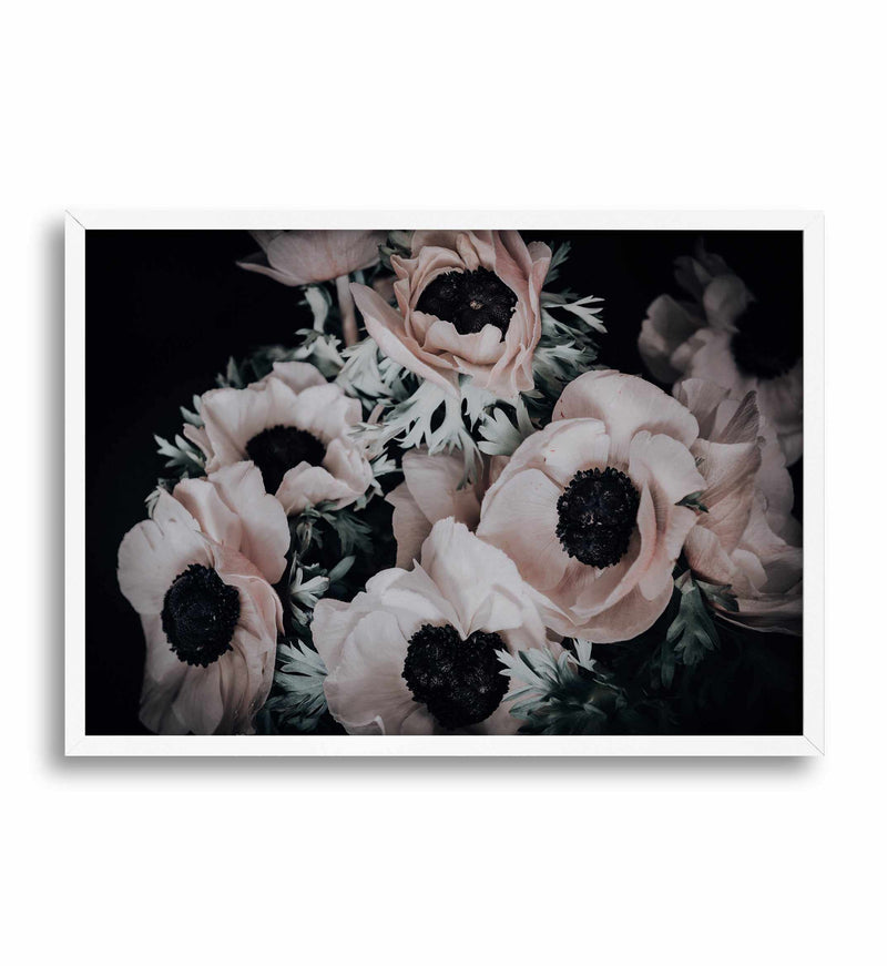 Anemone I Art Print-PRINT-Olive et Oriel-Olive et Oriel-A5 | 5.8" x 8.3" | 14.8 x 21cm-White-With White Border-Buy-Australian-Art-Prints-Online-with-Olive-et-Oriel-Your-Artwork-Specialists-Austrailia-Decorate-With-Coastal-Photo-Wall-Art-Prints-From-Our-Beach-House-Artwork-Collection-Fine-Poster-and-Framed-Artwork