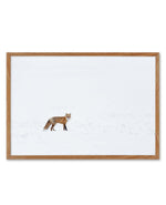 Arctic Fox | LS Art Print-PRINT-Olive et Oriel-Olive et Oriel-50x70 cm | 19.6" x 27.5"-Walnut-With White Border-Buy-Australian-Art-Prints-Online-with-Olive-et-Oriel-Your-Artwork-Specialists-Austrailia-Decorate-With-Coastal-Photo-Wall-Art-Prints-From-Our-Beach-House-Artwork-Collection-Fine-Poster-and-Framed-Artwork