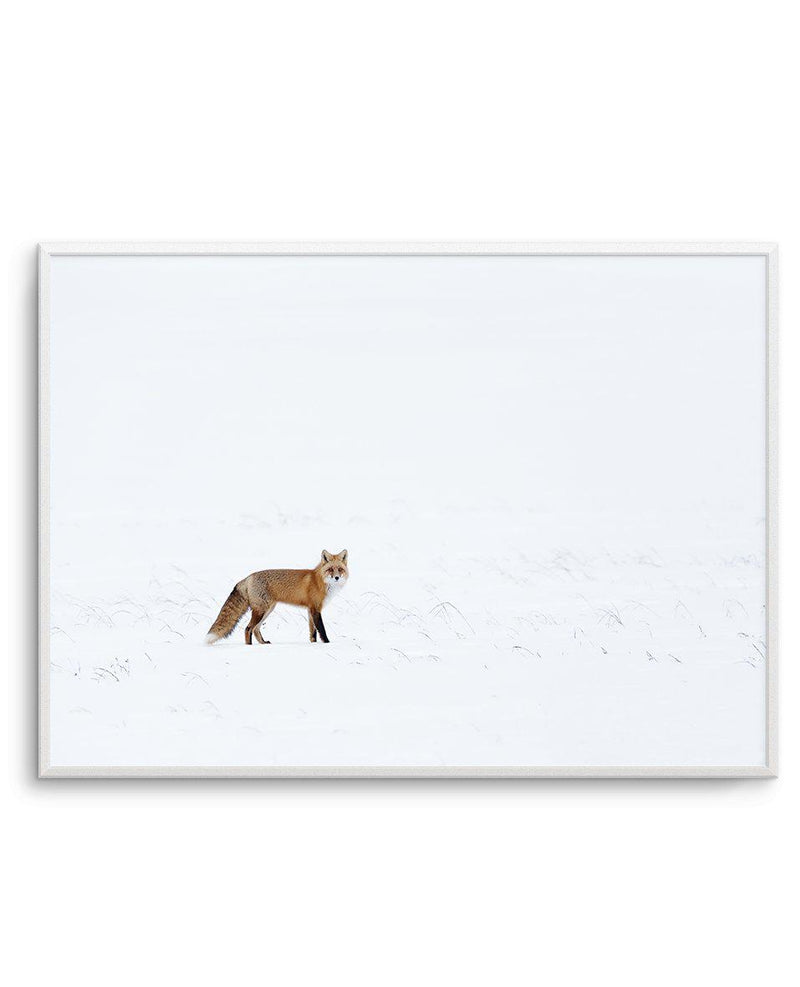 Arctic Fox | LS Art Print-PRINT-Olive et Oriel-Olive et Oriel-A5 | 5.8" x 8.3" | 14.8 x 21cm-Unframed Art Print-With White Border-Buy-Australian-Art-Prints-Online-with-Olive-et-Oriel-Your-Artwork-Specialists-Austrailia-Decorate-With-Coastal-Photo-Wall-Art-Prints-From-Our-Beach-House-Artwork-Collection-Fine-Poster-and-Framed-Artwork