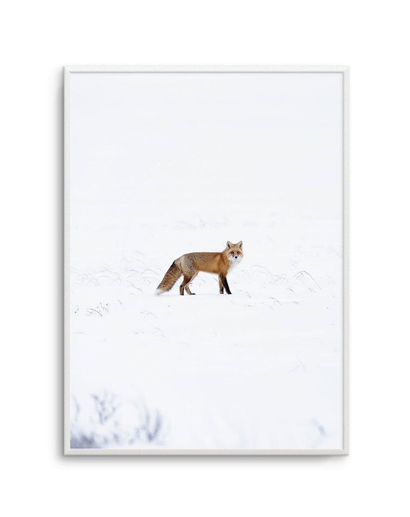 Arctic Fox | PT Art Print-PRINT-Olive et Oriel-Olive et Oriel-A5 | 5.8" x 8.3" | 14.8 x 21cm-Unframed Art Print-With White Border-Buy-Australian-Art-Prints-Online-with-Olive-et-Oriel-Your-Artwork-Specialists-Austrailia-Decorate-With-Coastal-Photo-Wall-Art-Prints-From-Our-Beach-House-Artwork-Collection-Fine-Poster-and-Framed-Artwork