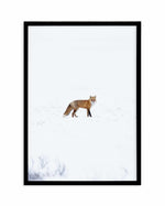 Arctic Fox | PT Art Print-PRINT-Olive et Oriel-Olive et Oriel-A5 | 5.8" x 8.3" | 14.8 x 21cm-Black-With White Border-Buy-Australian-Art-Prints-Online-with-Olive-et-Oriel-Your-Artwork-Specialists-Austrailia-Decorate-With-Coastal-Photo-Wall-Art-Prints-From-Our-Beach-House-Artwork-Collection-Fine-Poster-and-Framed-Artwork