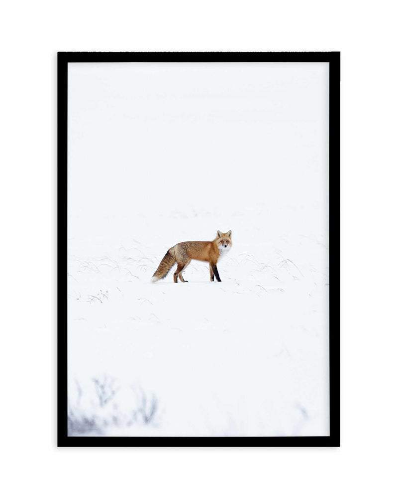 Arctic Fox | PT Art Print-PRINT-Olive et Oriel-Olive et Oriel-A5 | 5.8" x 8.3" | 14.8 x 21cm-Black-With White Border-Buy-Australian-Art-Prints-Online-with-Olive-et-Oriel-Your-Artwork-Specialists-Austrailia-Decorate-With-Coastal-Photo-Wall-Art-Prints-From-Our-Beach-House-Artwork-Collection-Fine-Poster-and-Framed-Artwork